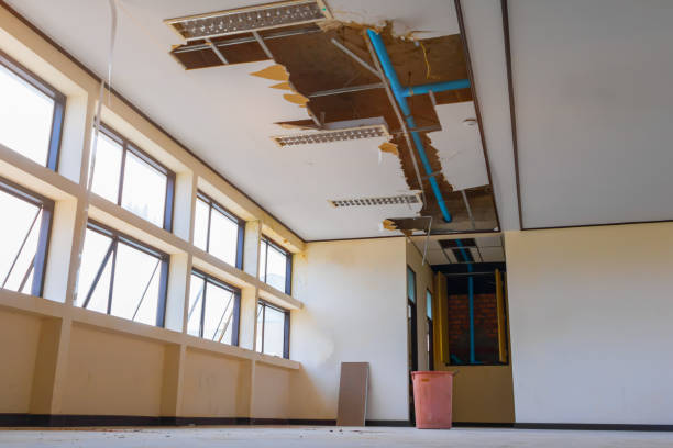 Best Water damage restoration process  in Biltmore Forest, NC