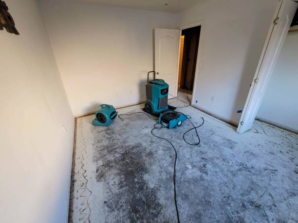 Best Mold removal after water damage  in Biltmore Forest, NC