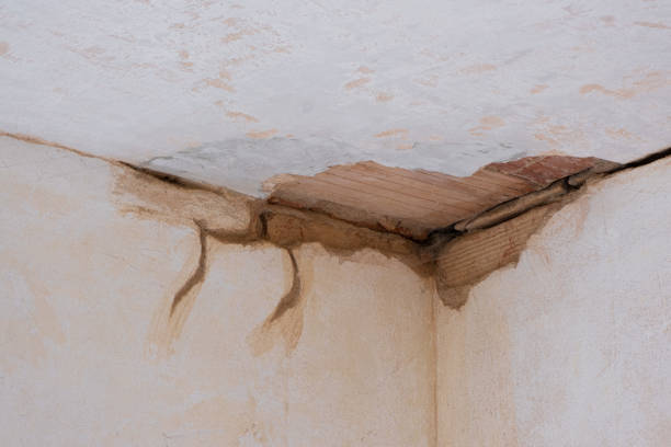 Best Basement water damage restoration  in Biltmore Forest, NC