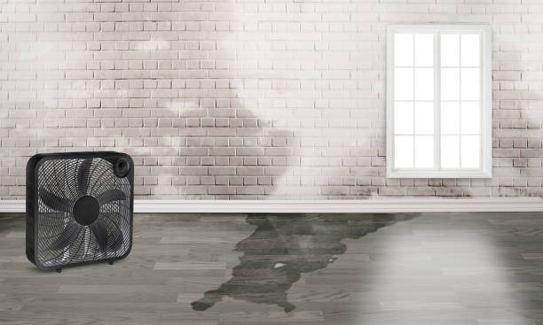 24/7 water damage repair in NC